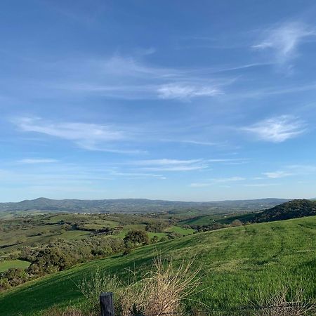 Fattoria Tolomei Campagnatico Bagian luar foto