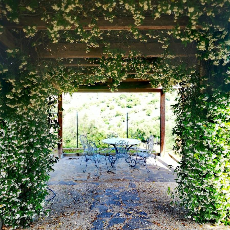 Fattoria Tolomei Campagnatico Bagian luar foto