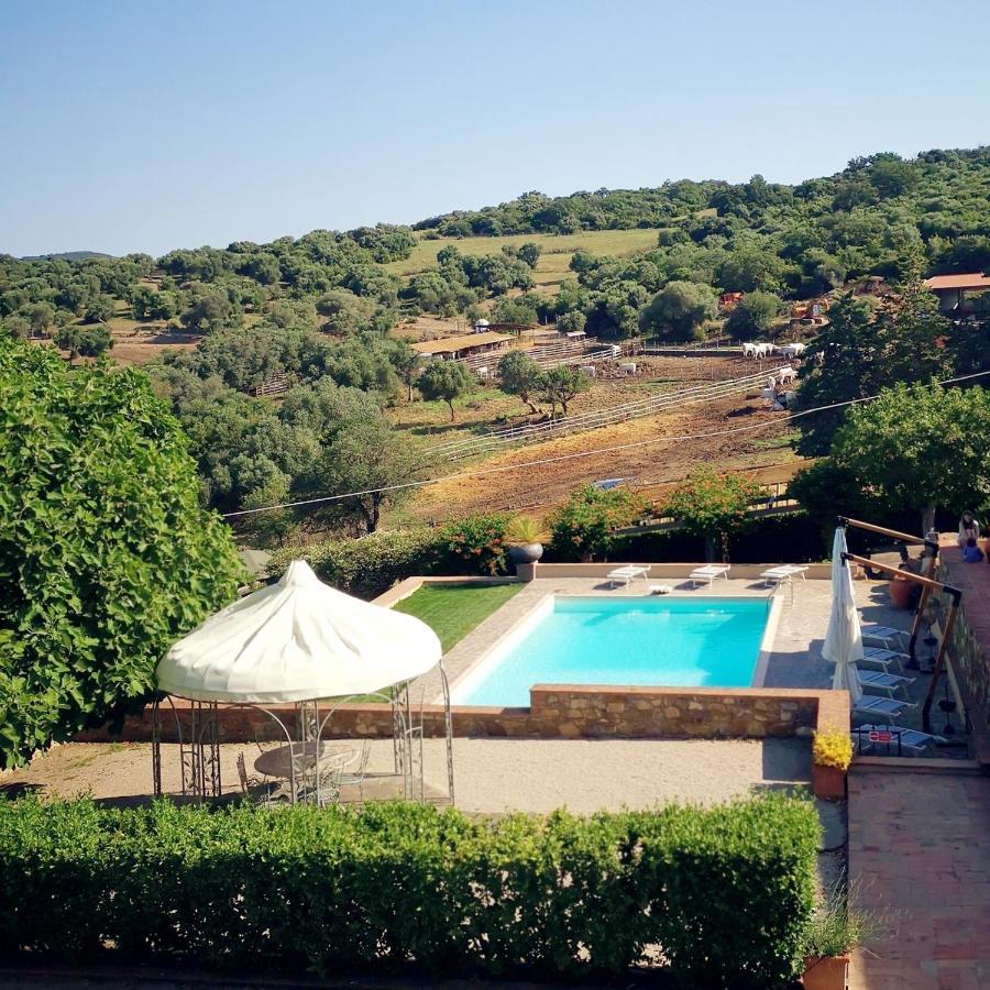Fattoria Tolomei Campagnatico Bagian luar foto