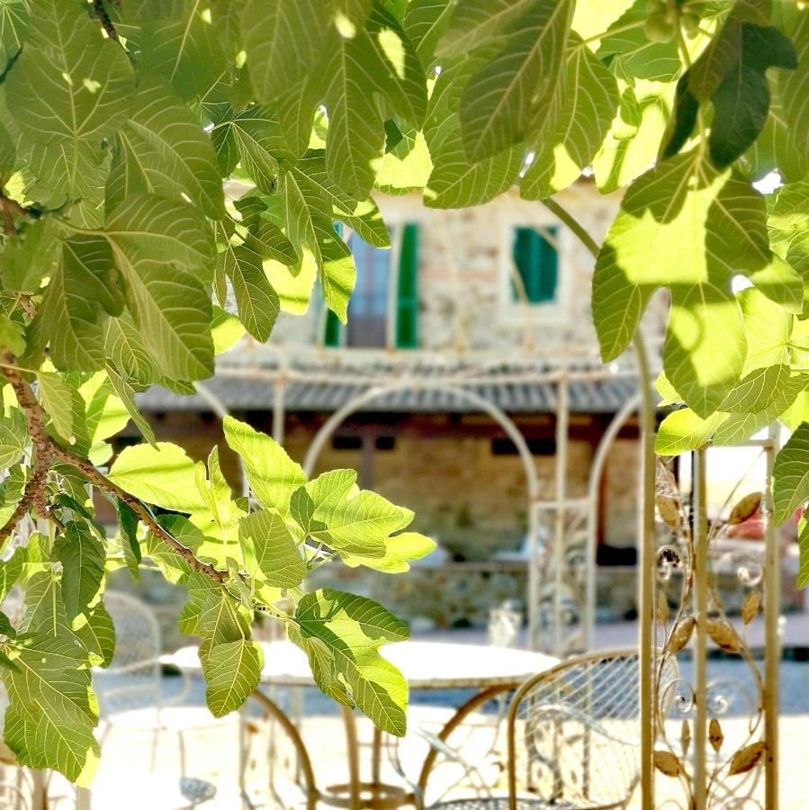 Fattoria Tolomei Campagnatico Bagian luar foto