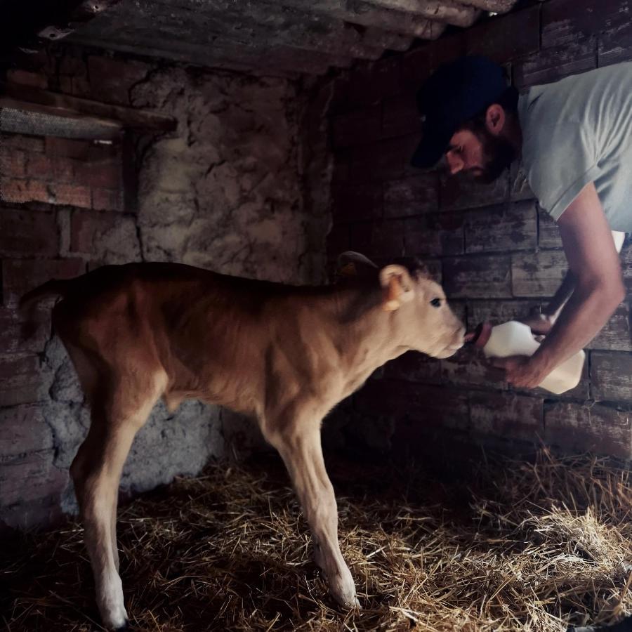 Fattoria Tolomei Campagnatico Bagian luar foto