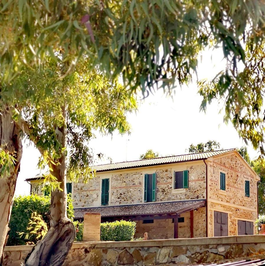 Fattoria Tolomei Campagnatico Bagian luar foto