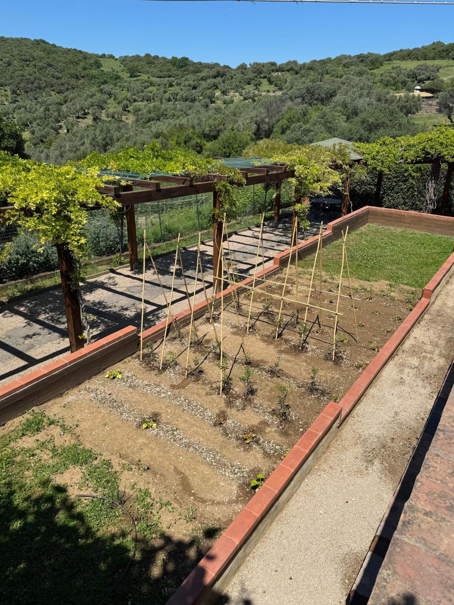 Fattoria Tolomei Campagnatico Bagian luar foto